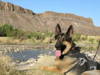 Wyatt at Big Bend Ranch Texas State Park