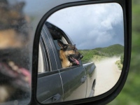 Wyatt on Backroads Paonia Colorado