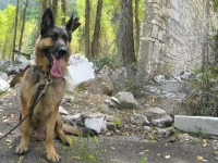 Wyatt at Maeble Quarry Site Colorado