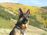 Wyatt atop Gold Hill at Vickers Ranch