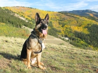 Wyatt atop Gold Hill at Vickers Ranch