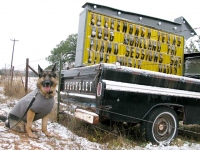 Wyatt at Luckenbach, Texas.