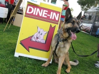 Wyatt at Borrego Springs Farmers Market