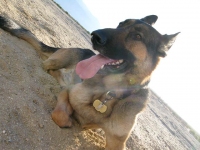 Wyatt rests at Slab City