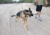 Wyatt runs at Slab City