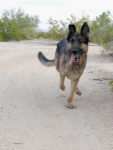 Wyatt runs at Slab City