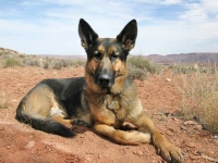 Wyatt at Goosenecks Utah State Park