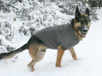 Wyatt in the snow at Jerry's Acres