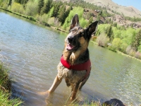 First Swim of Season for Wyatt at the Ranch