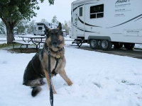 Wyatt at Fort Collins KOA