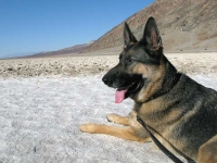 Wyatt at Badwater