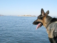 Wyatt at Alcatraz San Francisco