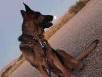 Wyatt watches full moon rise over Slab City