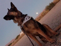 Wyatt watches full moon rise over Slab City