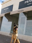 Wyatt at Prada Marfa Store on way to Big Bend Texas