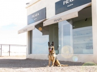 Wyatt at Prada Marfa Store on way to Big Bend Texas