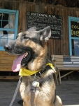 Wyatt at the Pie-o-neer in Pie Town