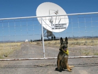 Wyatt at the Very Large Array, New Mexico