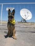 Wyatt at the Very Large Array, New Mexico