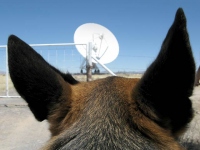 Wyatt listens for aliens at the VLA