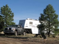 Wyatt boondocking on Devil Dog Road, Williams AZ