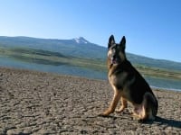 Wyatt at Miramonte Reservoir, Colorado