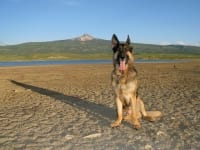 Wyatt poses by Lone Cone at Miramonte Reservoir