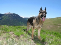 Wyatt poses at the Upper Ranch