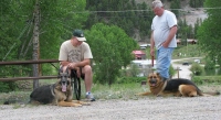 Wyatt Meets New GSD Friends