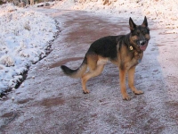 Wyatt enjoys last snow for the season!