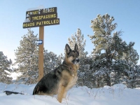 Wyatt in the Snow