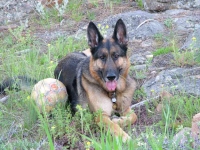Wyatt likes his soccer ball.