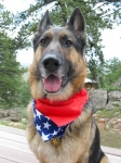 Wyatt Fourth of July 2015