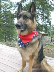 Wyatt Fourth of July 2015