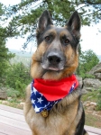 Wyatt Fourth of July 2015