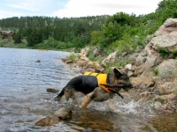 Wyatt Swims Crystal Lake