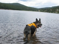 Wyatt Swims Crystal Lake