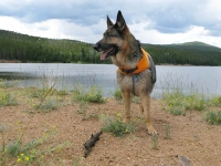 Wyatt at Crystal Lake