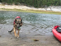 Wyatt swims at Shaver Lake