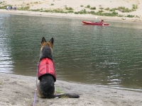 Wyatt is concerned about Mama kayaking!