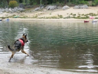 Wyatt discovers the Frisbee floats!