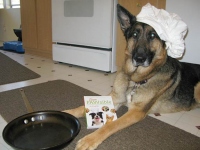 Chef Wyatt Ray reads Dinner Pawsible cookbook