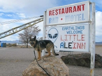 Wyatt watches out for for ET in Rachel, NV