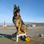 Wyatt balances at Furnace Creek, CA