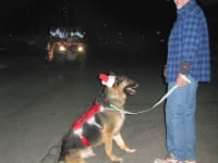 Wyatt dressed up for Founrain of Youth Christmas Parade
