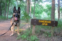 Wyatt at Palmetto State Park, Texas