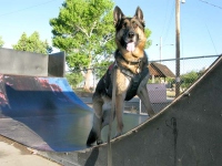 Wyatt at T or C Skate Park