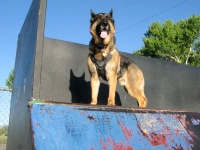 Wyatt at T or C Skate Park