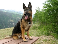 Wyatt atop Gold Hill