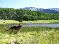 Wyatt at Joe Bob lake.